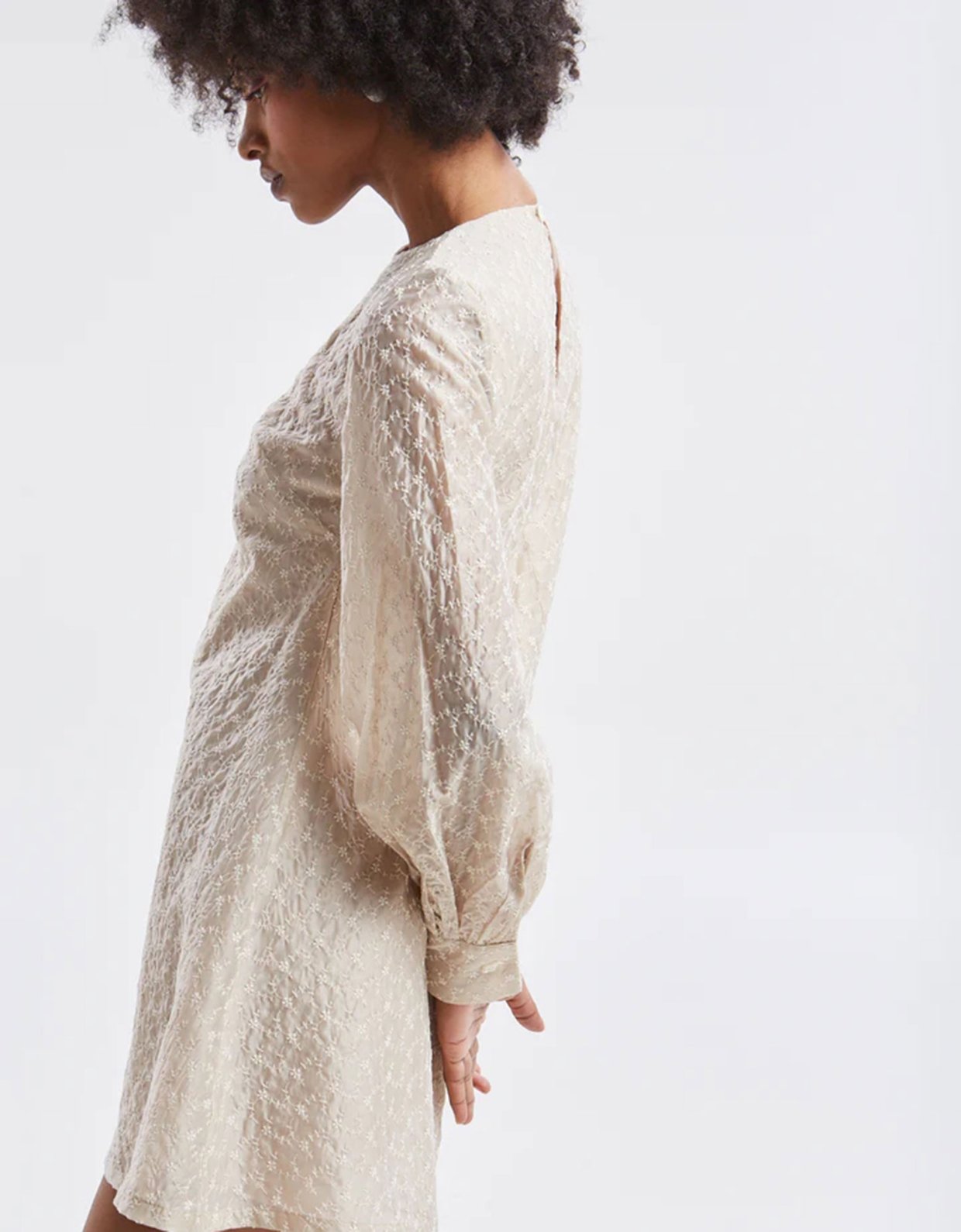 Ananke Clothing Kaira embroidered mini dress