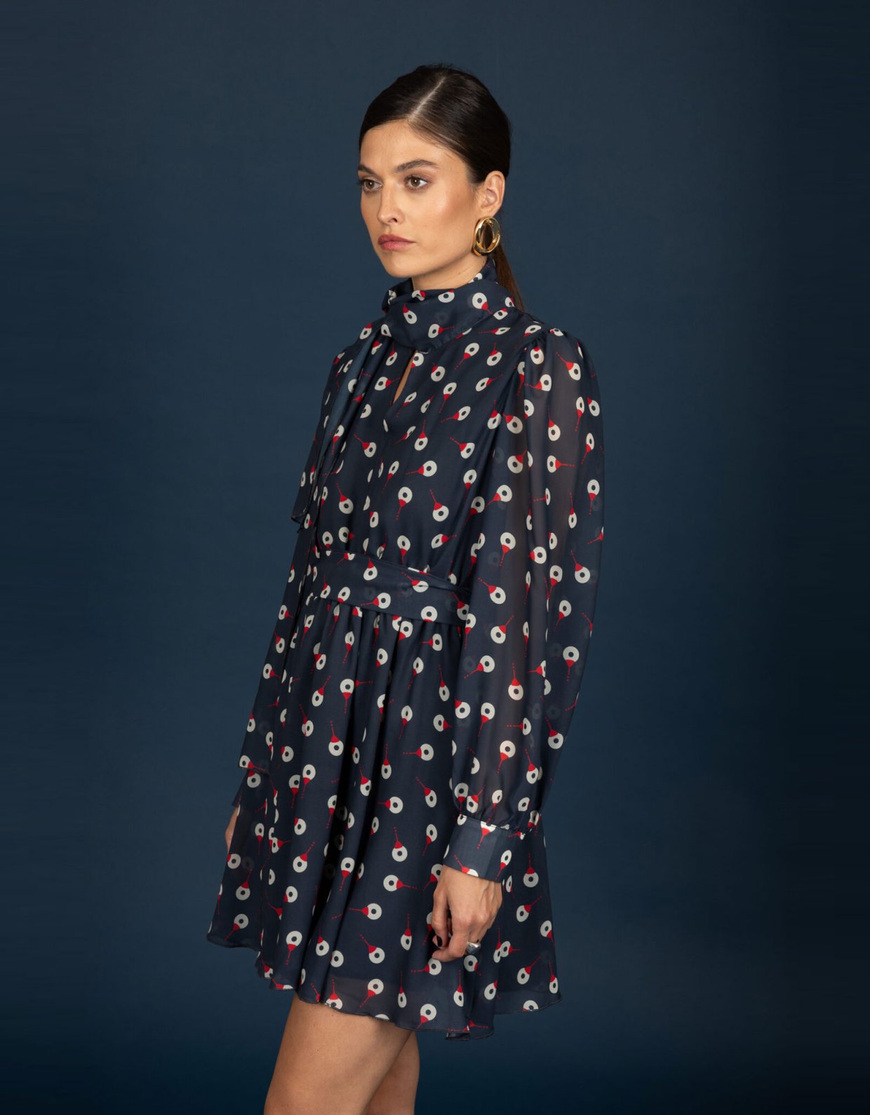 Chaton Barley chiffon dress