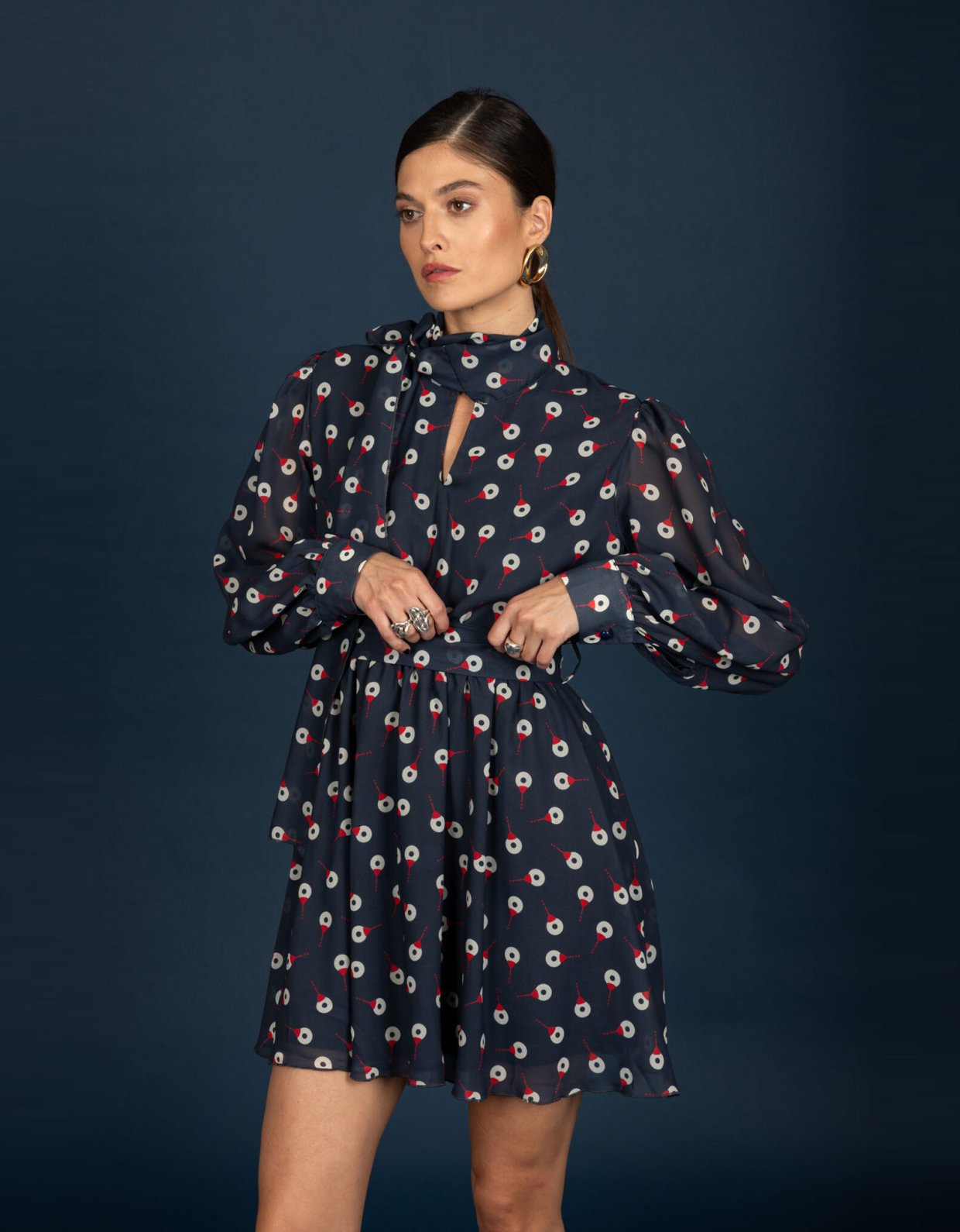 Chaton Barley chiffon dress