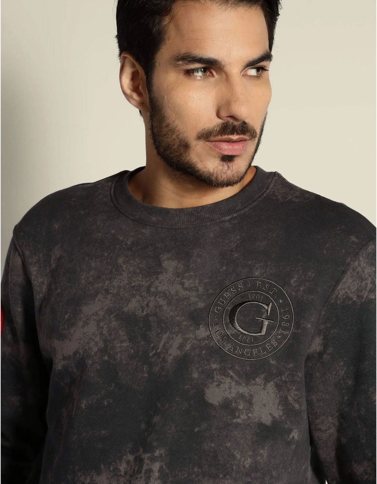 Guess Leon fleece washed sweatshirt