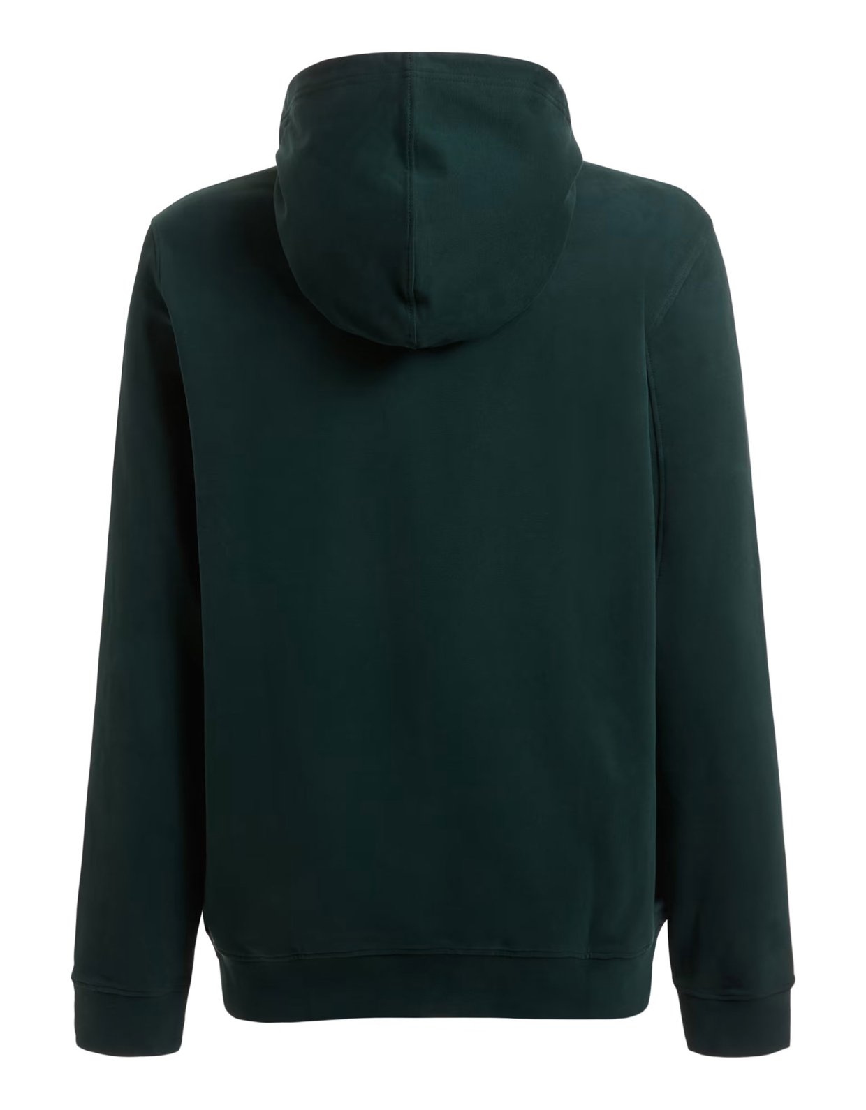 Guess Beau hoodie fleece sweatshirt green