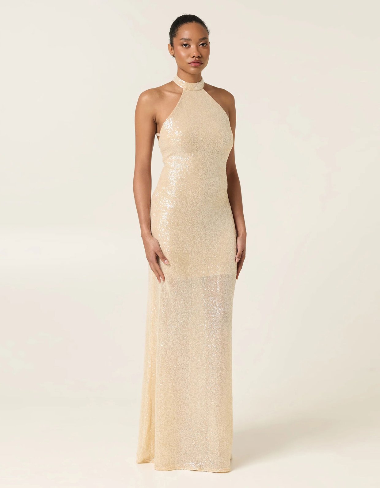Eveleya Pearl dust maxi sequined dress