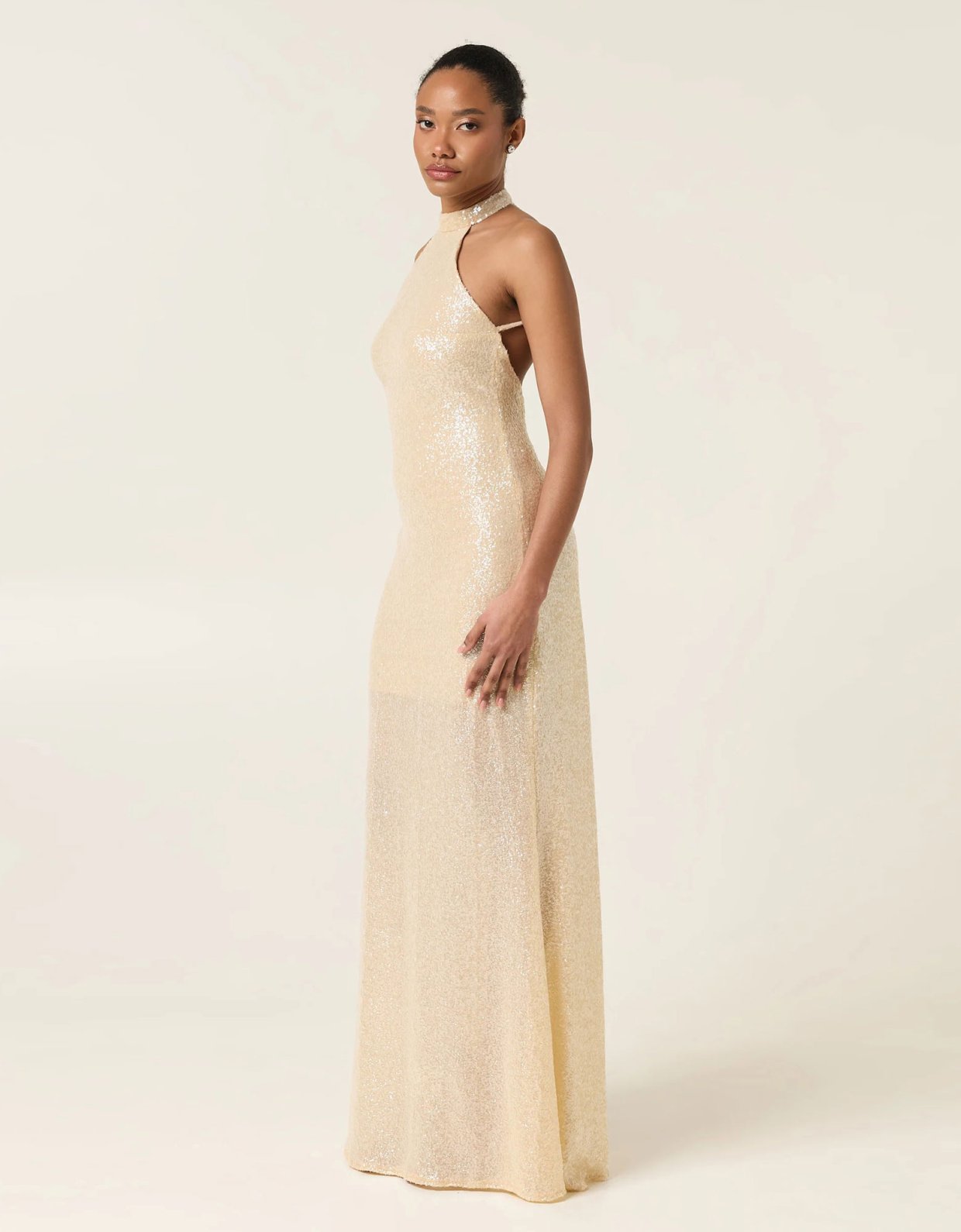 Eveleya Pearl dust maxi sequined dress