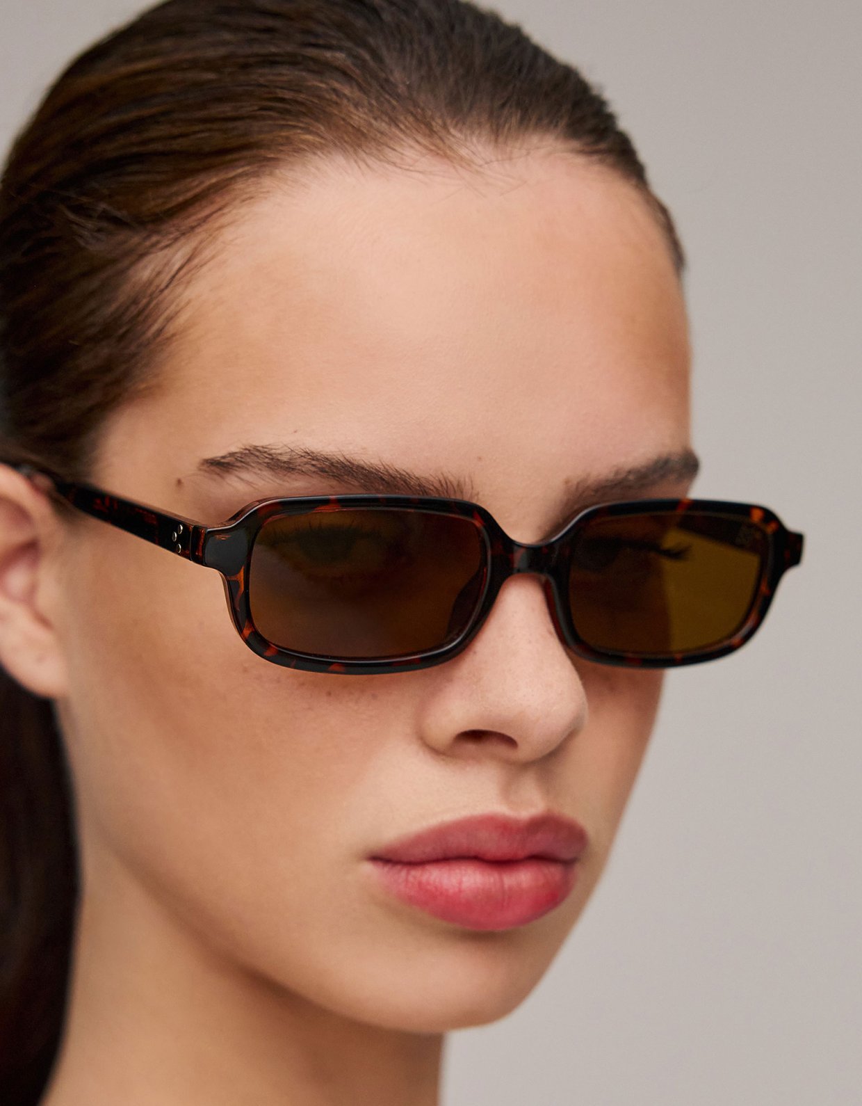 AV Sunglasses Logan brown sunglasses