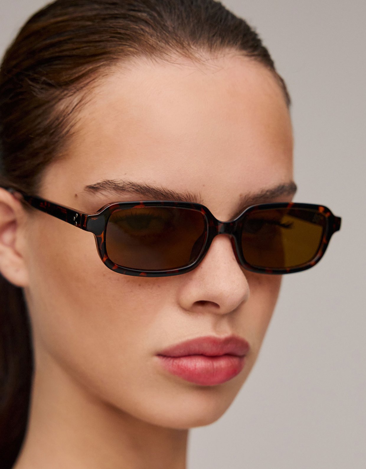 AV Sunglasses Logan brown sunglasses