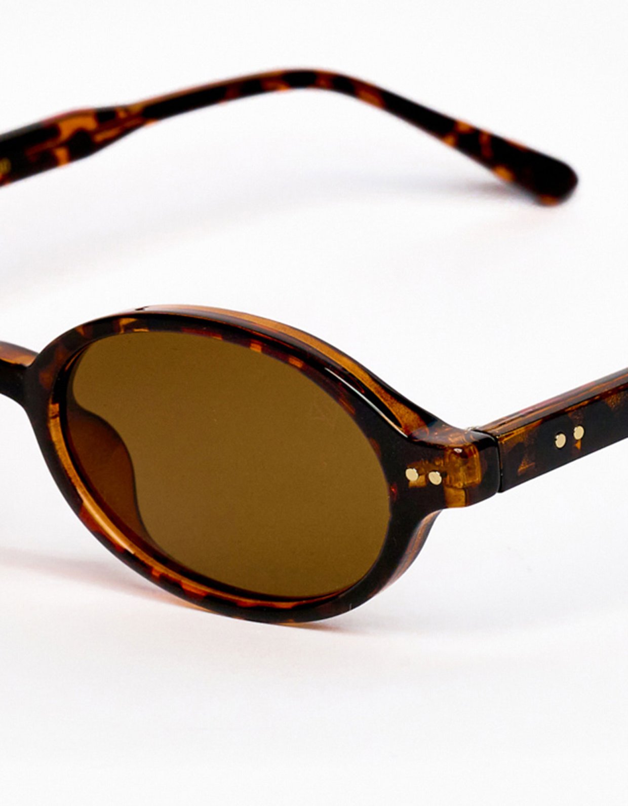 AV Sunglasses Odie brown/brown sunglasses