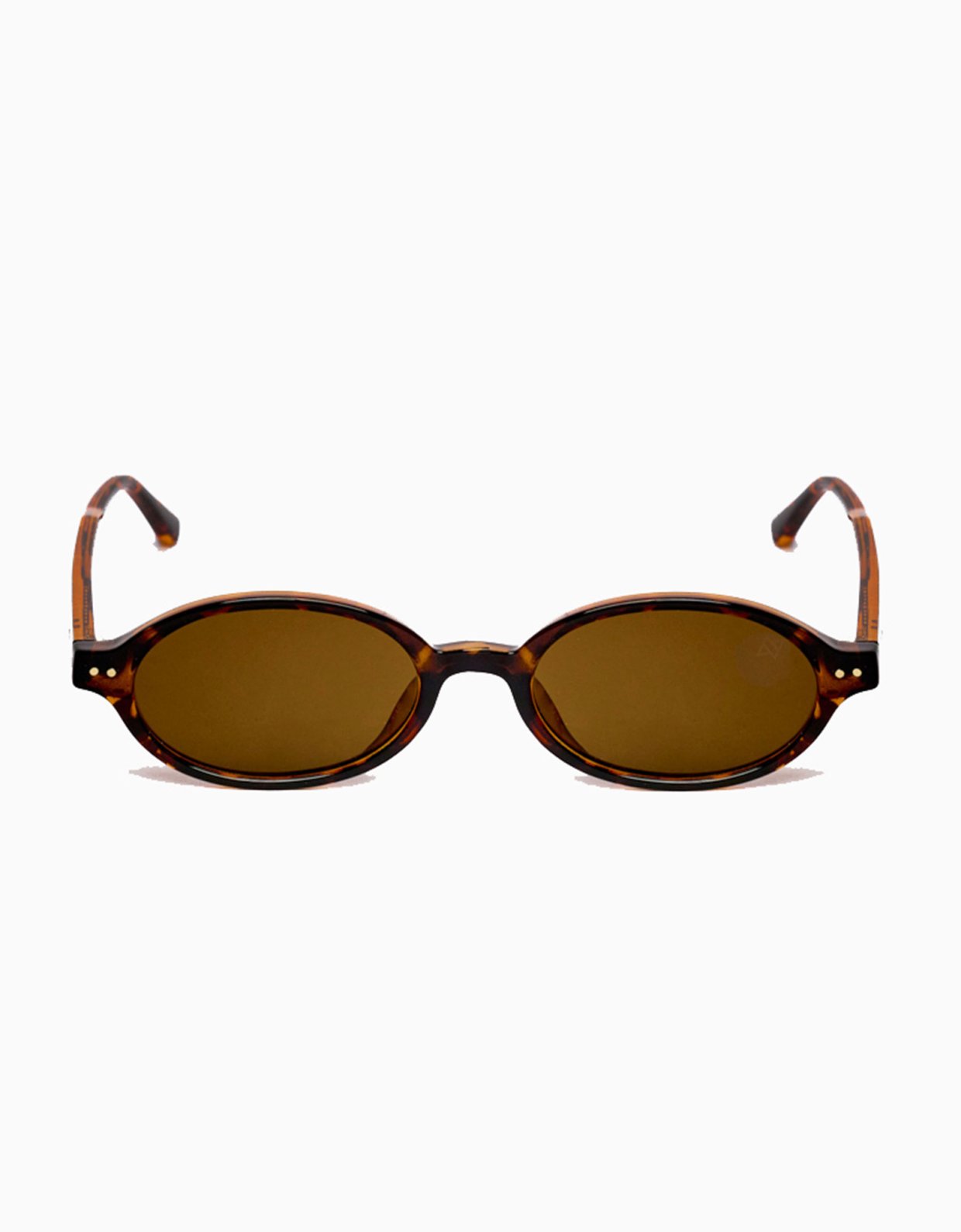 AV Sunglasses Odie brown/brown sunglasses
