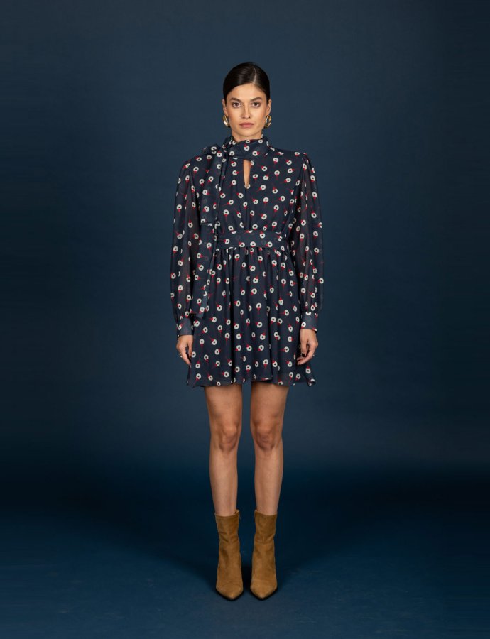 Barley chiffon dress