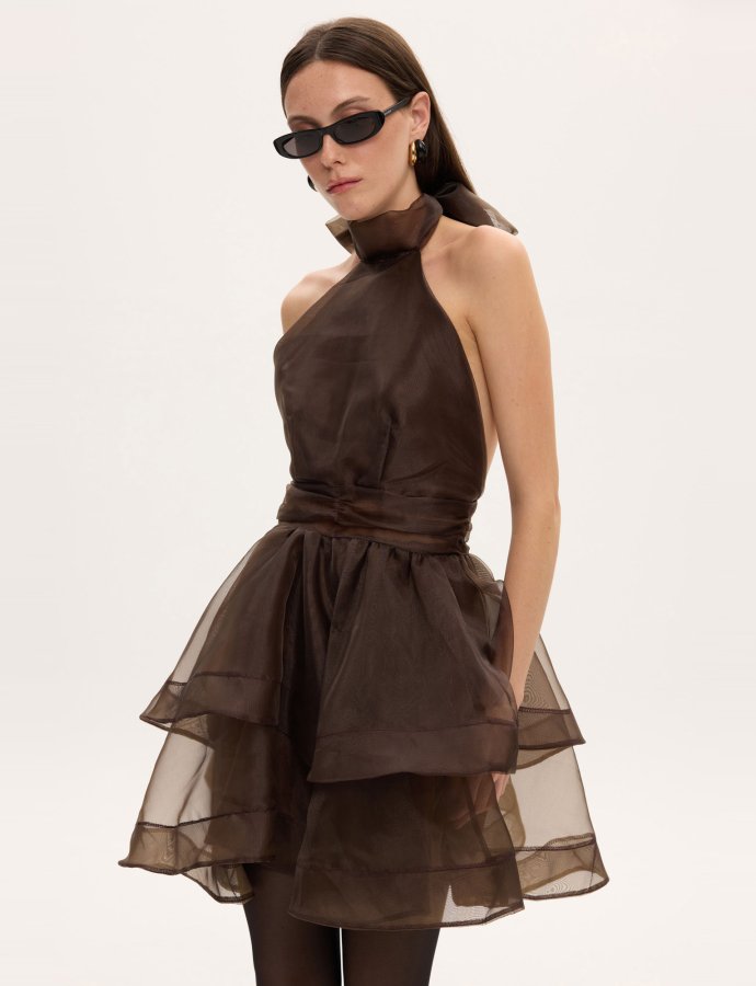 Margot organza mini dress brown