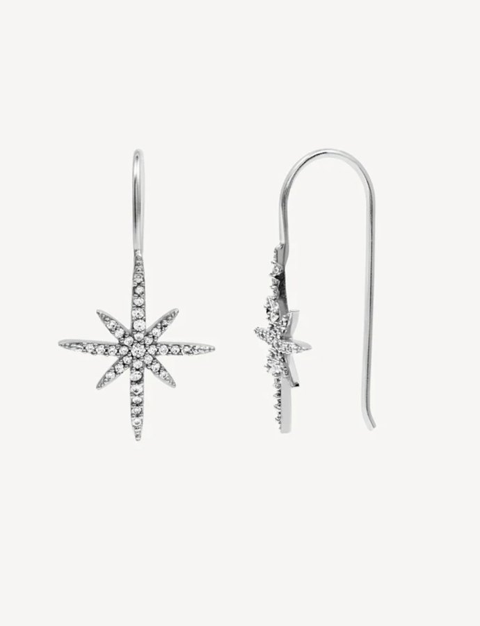 Night silver earrings