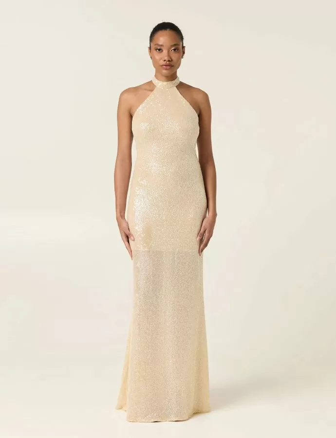 Pearl dust maxi sequined dress